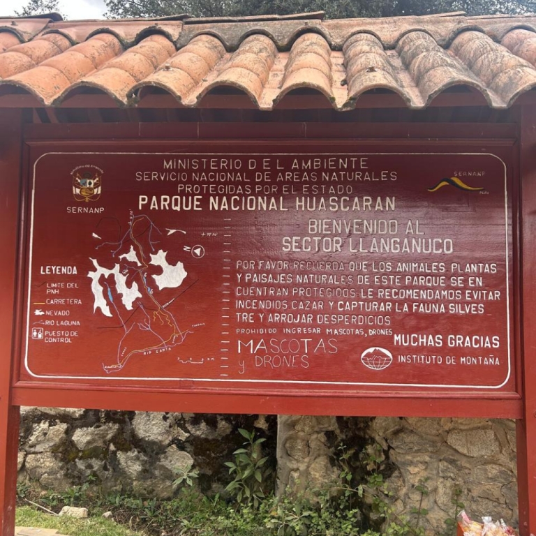 foto para paginas (12)