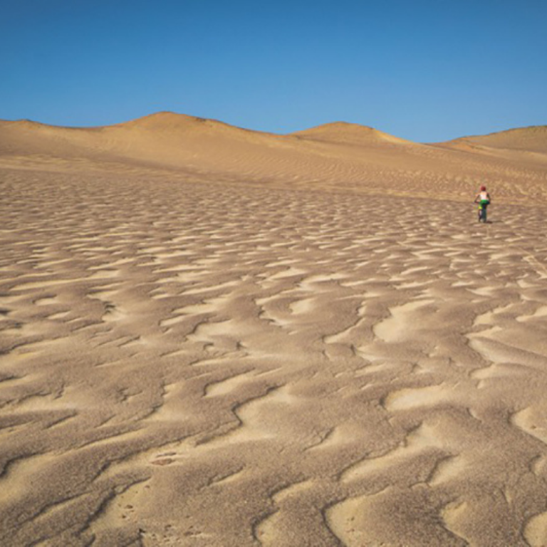 Deserto de Paracas